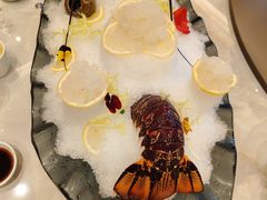 -新南华大酒店(长寿店)