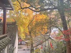 -兴福禅寺