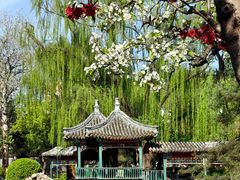 -宣武艺园