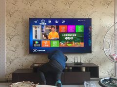 -国美电器(大连罗斯福广场店)