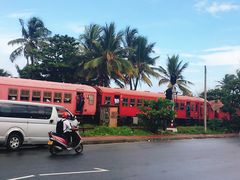 -Ministry of Crab(科伦坡店)