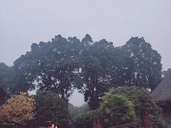 -峨眉山报国寺