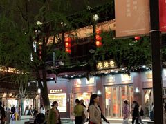 -奇芳阁·百年清真南京菜(夫子庙店)