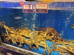 -金悦轩海鲜酒家(南宁店)