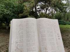 -太阳宫公园