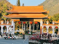 -深圳仙湖植物园