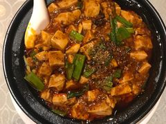 -陈麻婆豆腐总店