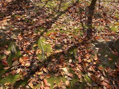 -苏州河梦清园环保主题公园