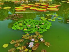 -国家植物园南园