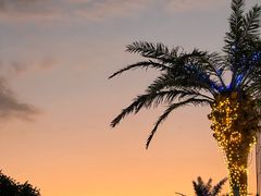 -川渔居—鱼火锅(八方汇店)