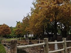-厦门园林博览苑