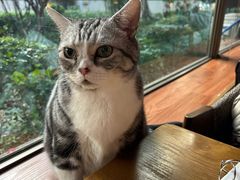 -咖法森林·咖啡  酒吧(天河店)