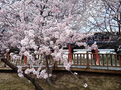 -兰山公园
