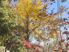 -陶祖圣境风景区