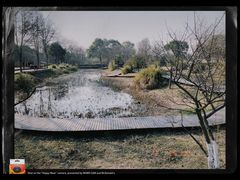 -西溪国家湿地公园