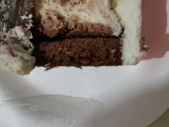 -BLACKSWAN黑天鹅(环球店)
