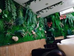 -逸丝风尚