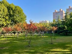 -西清公园
