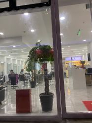 -Coo Hair salon