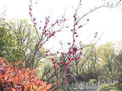 -南京东郊国宾馆