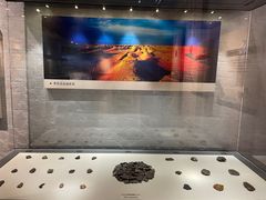 -巴音郭楞蒙古自治州博物馆