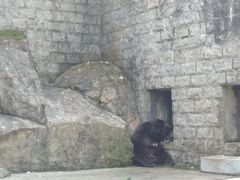 景点-二龙喉公园