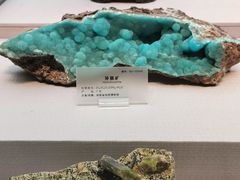 -湖南省地质博物馆