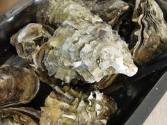 -张记旺角食街(动物园店)