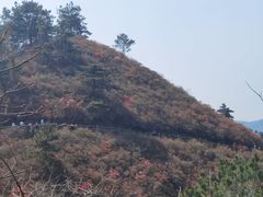 -木兰云雾山