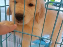 -瑞派康怡24h宠物医院·犬猫医疗中心·微创绝育(瑞景分院)