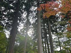 -三千院