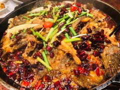 -老板恋上鱼(荣盛广场店)
