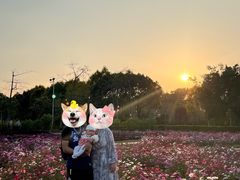 -广东花都香草世界旅游度假区