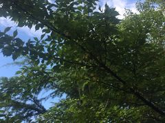 -明故宫遗址公园