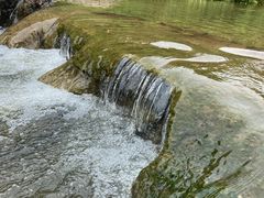 -东莞市大岭山森林公园