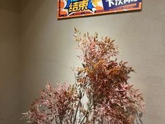 -567·密室逃脱(大良店)