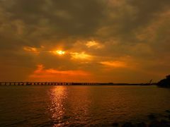 -宝安西湾红树林湿地公园