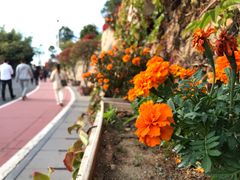 -仙岳公园