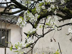 -上坦村