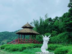 -广州市石门国家森林公园
