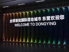 -东营胜利机场