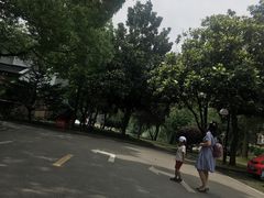 -同里湖度假村(二期店)