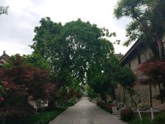 -西安关中民俗艺术博物院