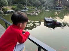 -云溪植物园