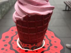 -麦当劳(文武路店)