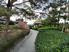 -威海天沐度假区温泉