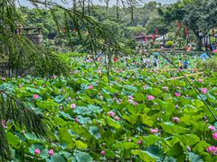 -广州莲花山旅游区