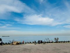 -上海滨江森林公园