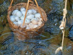 -天芳悦潭度假村温泉