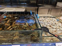 -川骄海鲜自助(亚运村店)